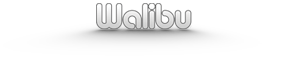 Walibu.com "The Waves Behind Web Surfing"